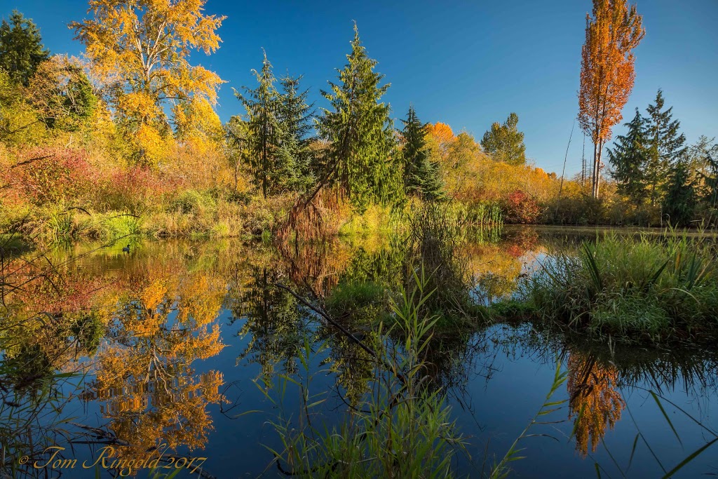 El Huarache Taco Shop | 764 N Midway Dr, Escondido, CA 92027, USA | Phone: (760) 738-4733