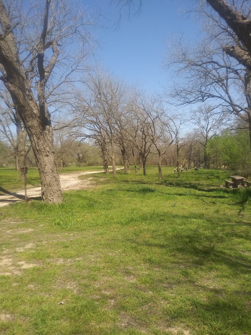 Spencer Canoes & Shady Grove Campground | 9515 FM1979, Martindale, TX 78655, USA | Phone: (512) 357-6113