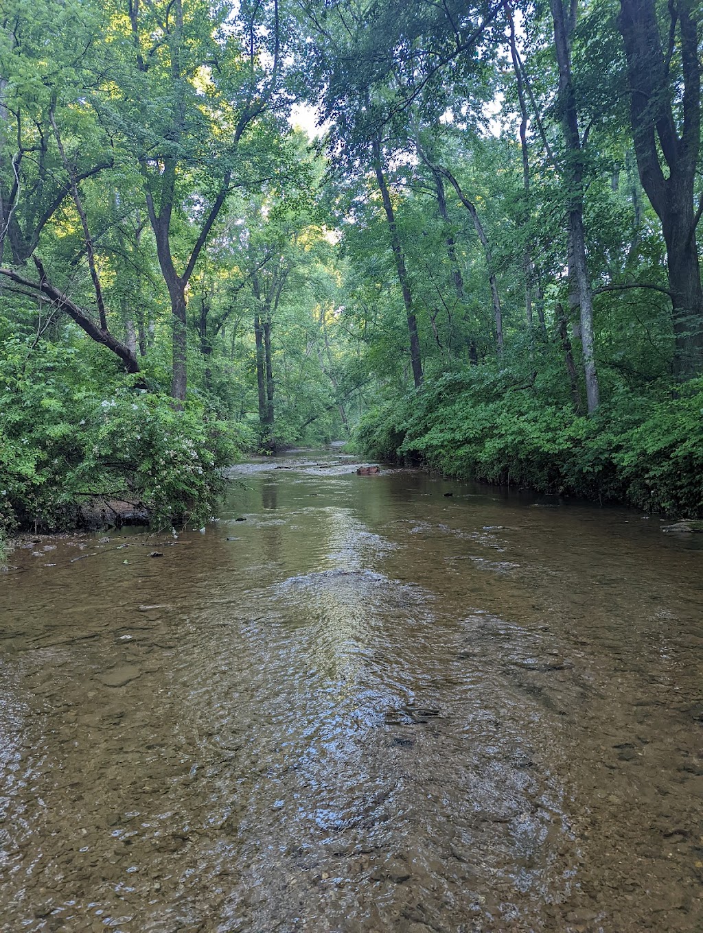 Mullinix Mill Parking, Patuxent River State Park | Mt Airy, MD 21771, USA | Phone: (301) 924-2127