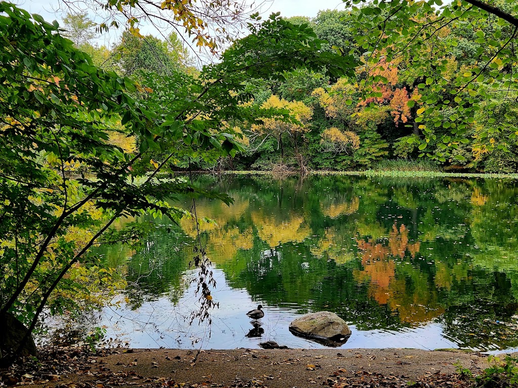 Prospect Park | Brooklyn, NY, USA | Phone: (718) 965-8951