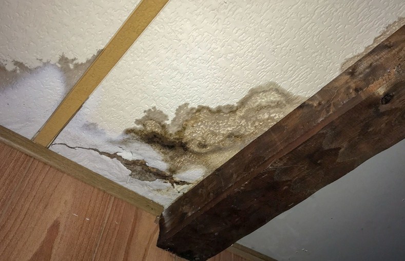Valley Road Water Damage Experts | 881 Allwood Rd, Clifton, NJ 07012 | Phone: (862) 314-6034