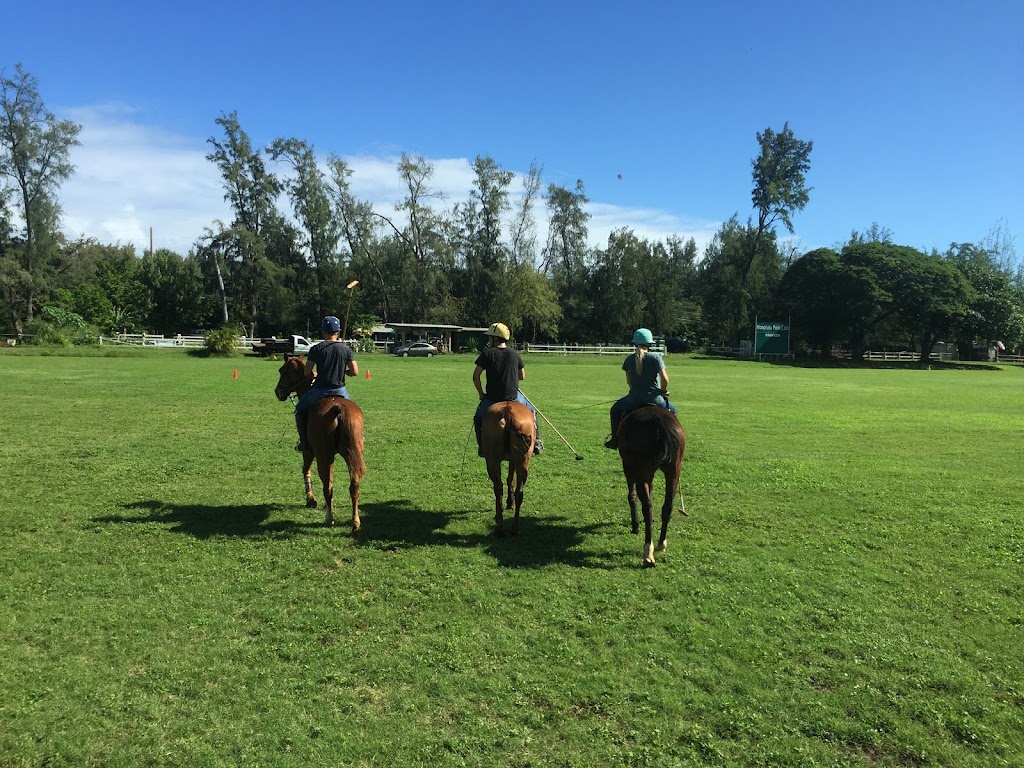 Waimanalo Beach Rides | 41-1062 Kalanianaʻole Hwy, Waimanalo, HI 96795, USA | Phone: (808) 421-9874