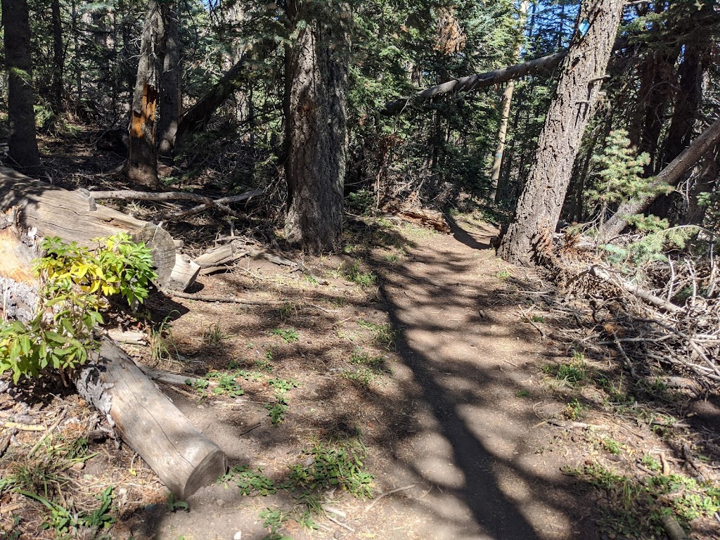 Ellis Trailhead | Sandia Crest Scenic Hwy, Cedar Crest, NM 87008 | Phone: (505) 281-3304