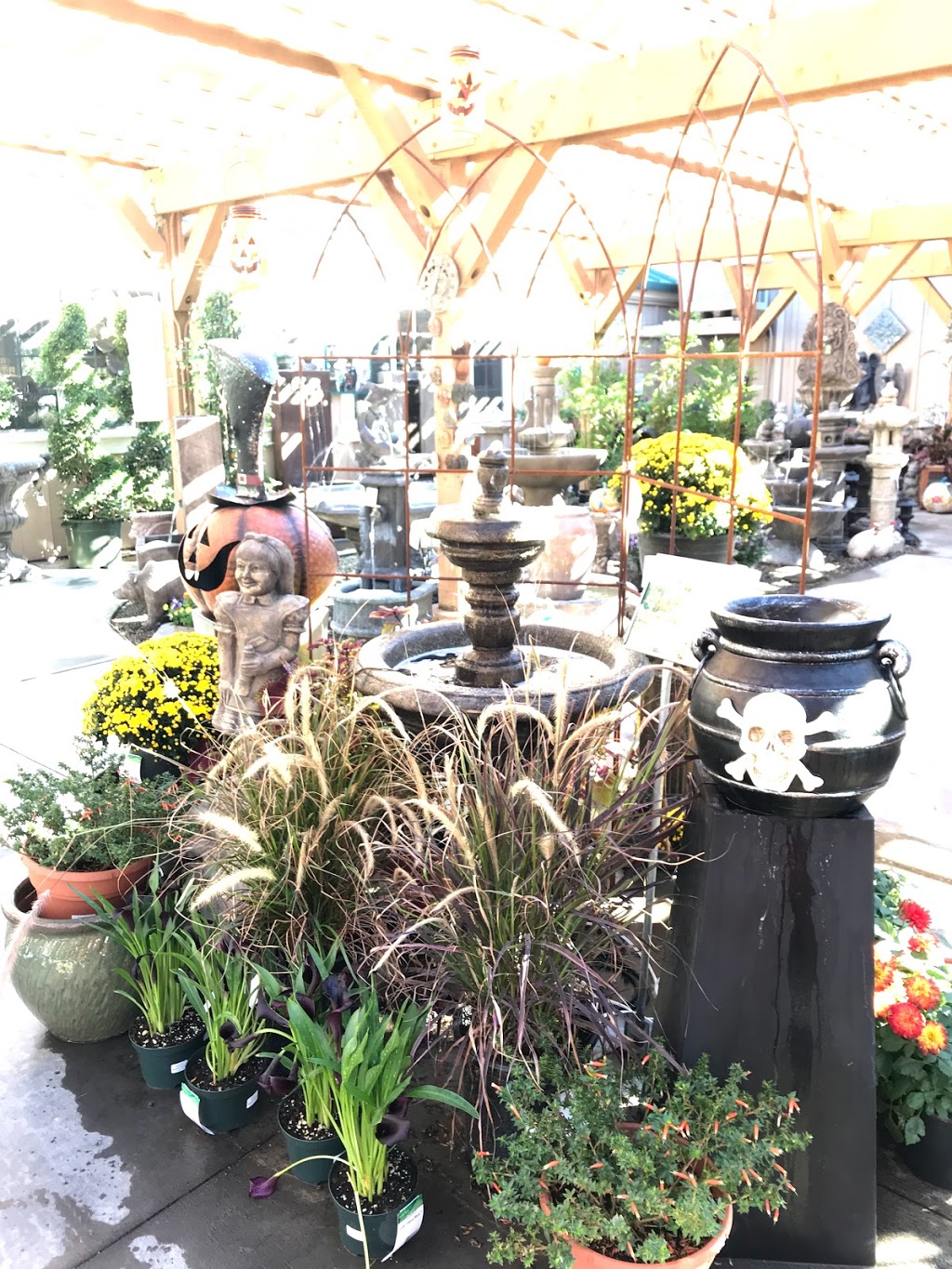 Armstrong Garden Centers | 352 E Glenarm St, Pasadena, CA 91106, USA | Phone: (626) 799-7139