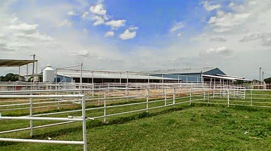 Witherspoon Ranch Arena | 5580 Co Rd 277, Kaufman, TX 75142, USA | Phone: (972) 977-7663