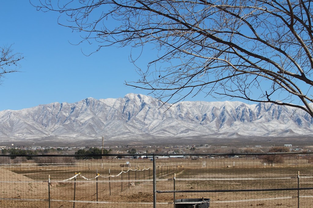 Flight Leader Farm | 8267 Bosque Rd, Canutillo, TX 79835, USA | Phone: (915) 726-1122