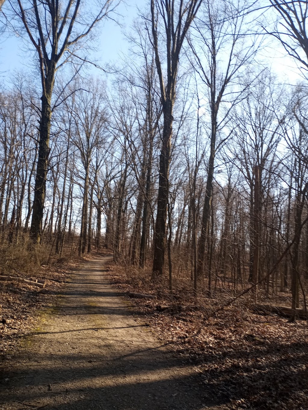 Edison Woods MetroPark | 10186 Ceylon Rd, Berlin Heights, OH 44814, USA | Phone: (419) 625-7783