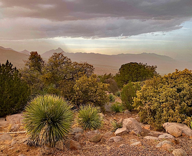 Aguirre Spring Campground | Aguirre Springs Rd, Las Cruces, NM 88011, USA | Phone: (575) 525-4300