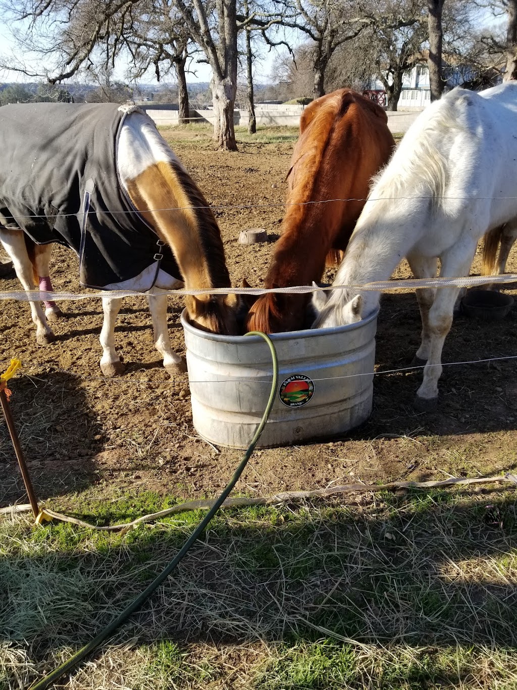 4 Horse Ranch | 2911 Patriot Way, Valley Springs, CA 95252, USA | Phone: (925) 586-5447 4 Horse Ranch | 2911 Patriot Way, Valley Springs, CA 95252, USA | Phone: (925) 586-5447