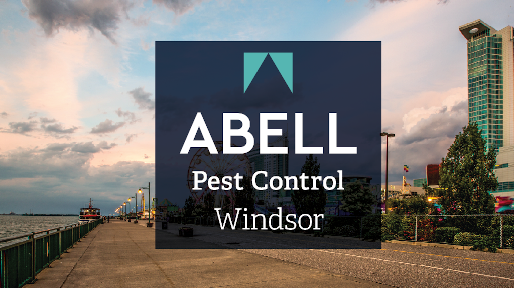 Abell Pest Control | 4525 Rhodes Dr #100, Windsor, ON N8W 5R8, Canada | Phone: (519) 966-4565