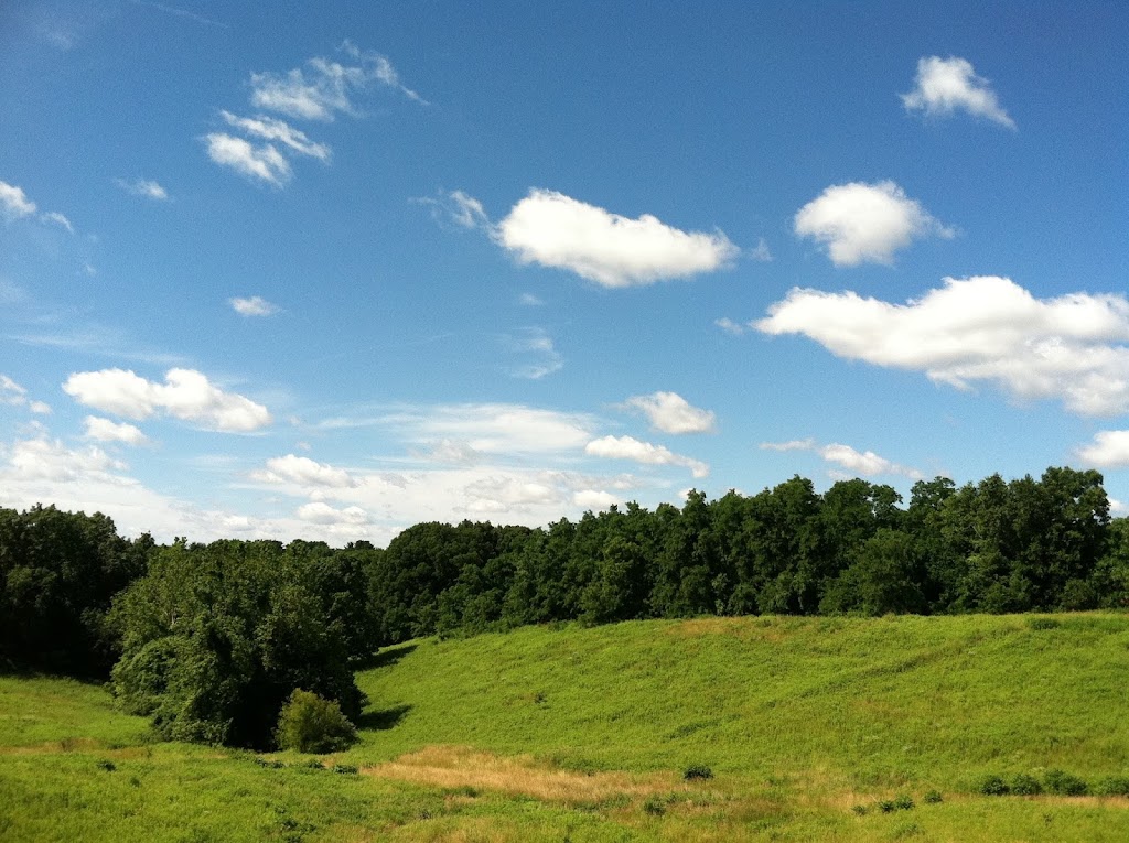 The Nature Institute | 2213 S Levis Ln, Godfrey, IL 62035, USA | Phone: (618) 466-9930