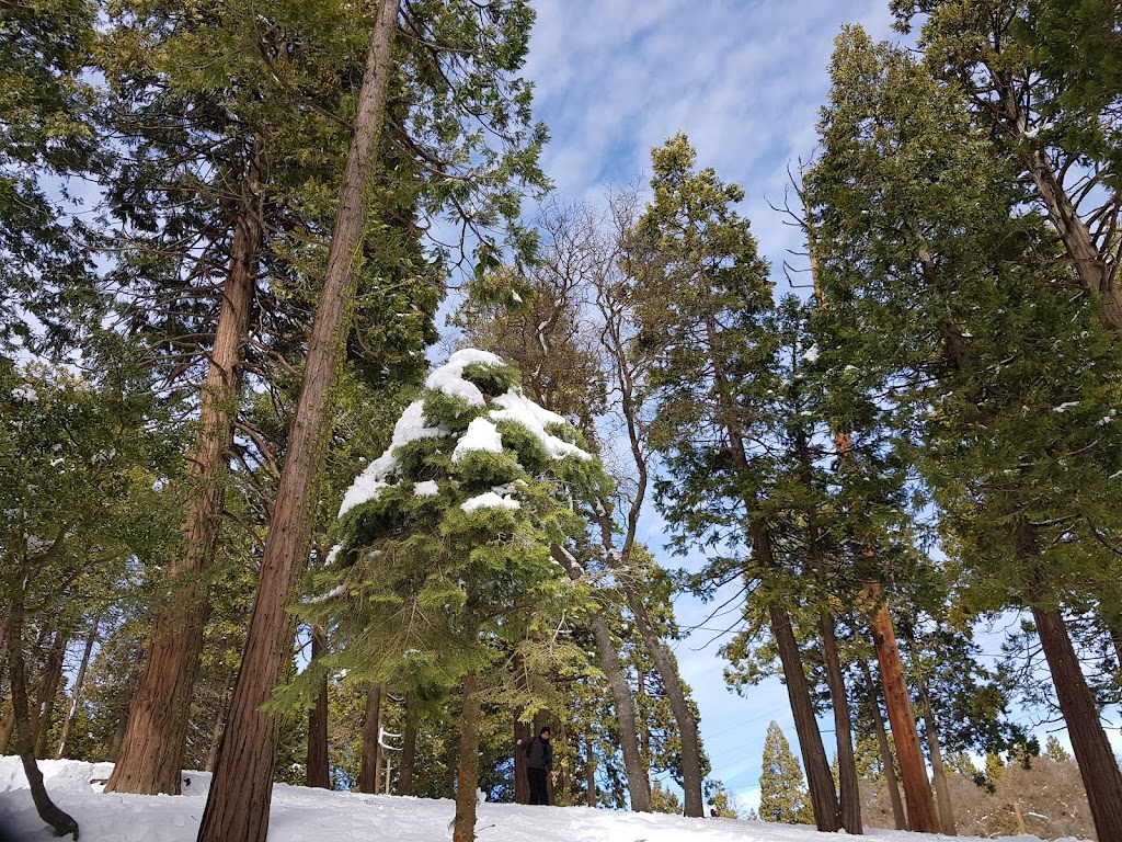 Greenhorn Mountain Park | 9665 Old State Rd, Alta Sierra, CA 93285, USA | Phone: (661) 868-7000