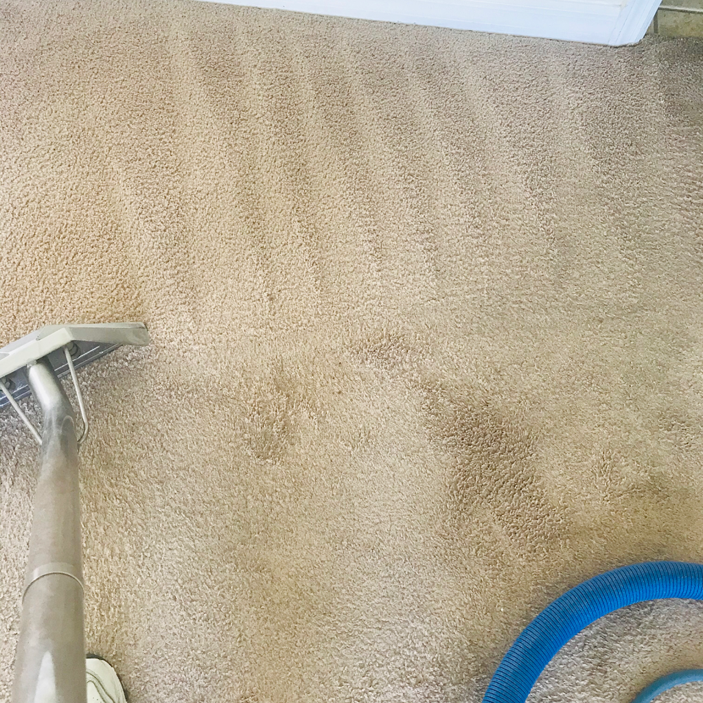 Best Care Carpet Cleaning | 4496 Hunting Lodge Dr, St Cloud, FL 34772, USA | Phone: (407) 891-9635