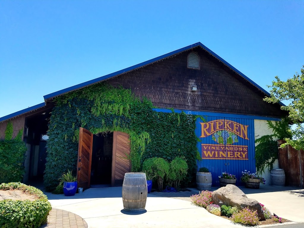 Ripken Vineyards & Winery | 2472 W Sargent Rd, Lodi, CA 95242, USA | Phone: (209) 367-9463
