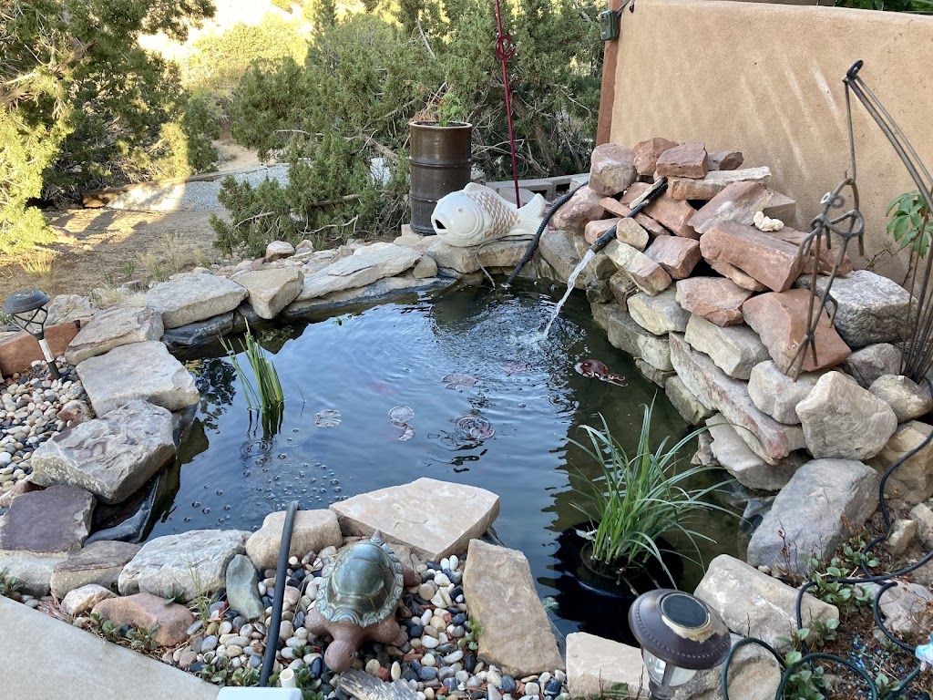 Albuquerque Water Gardens & Nursery | 1800 Candelaria Rd NW, Albuquerque, NM 87107, USA | Phone: (505) 246-8278