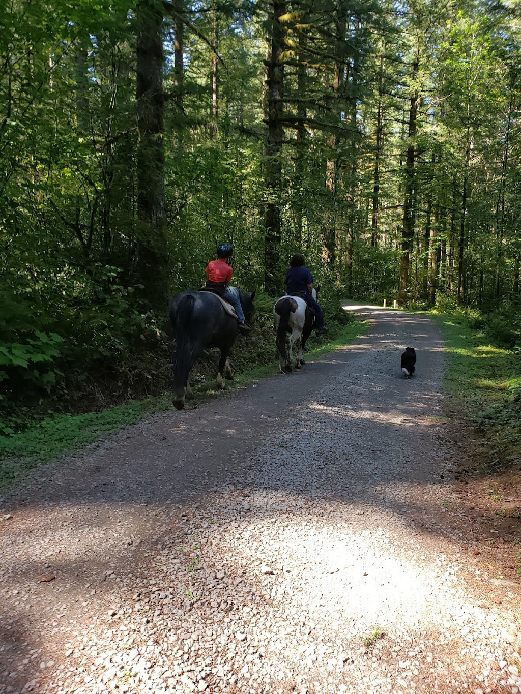 Rock Creek Campground | NE Dole Valley Rd, Yacolt, WA 98675, USA | Phone: (360) 577-2025