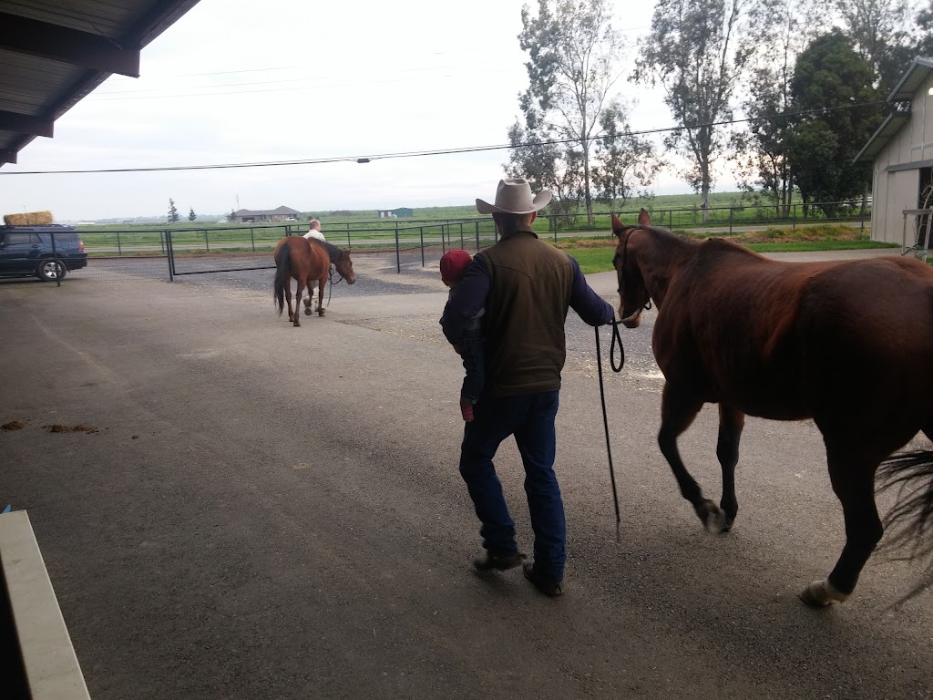 Pioneer Equine Hospital | 11536 Cleveland Ave, Oakdale, CA 95361 | Phone: (209) 847-5951