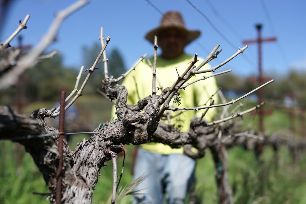 Yorba Wine Tasting | 51 Hanford St, Sutter Creek, CA 95685, USA | Phone: (209) 267-8190