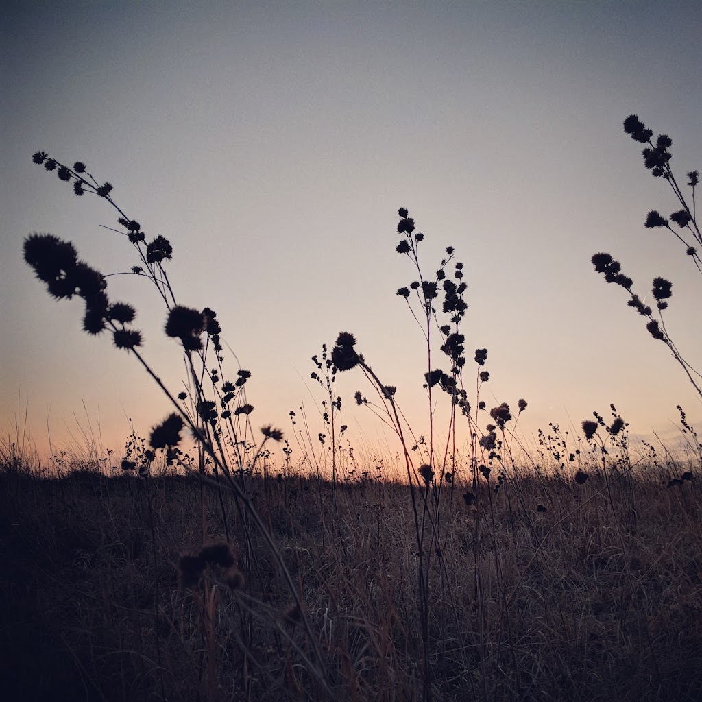 Nine-Mile Prairie Historical Marker | Lincoln, NE 68524, USA | Phone: (402) 472-3471