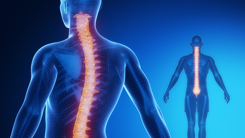 Correct Scoliosis | 1355 S Higley Rd #102, Gilbert, AZ 85296, USA | Phone: (480) 892-0022