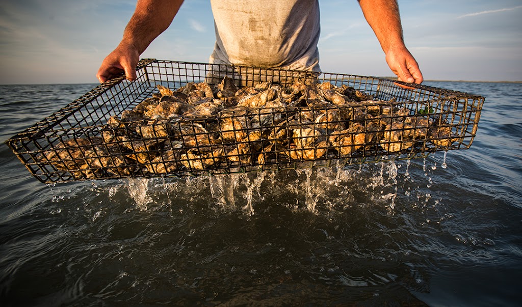 Shooting Point Oyster Company | 6337 Bayford Rd, Franktown, VA 23354, USA | Phone: (757) 693-1303