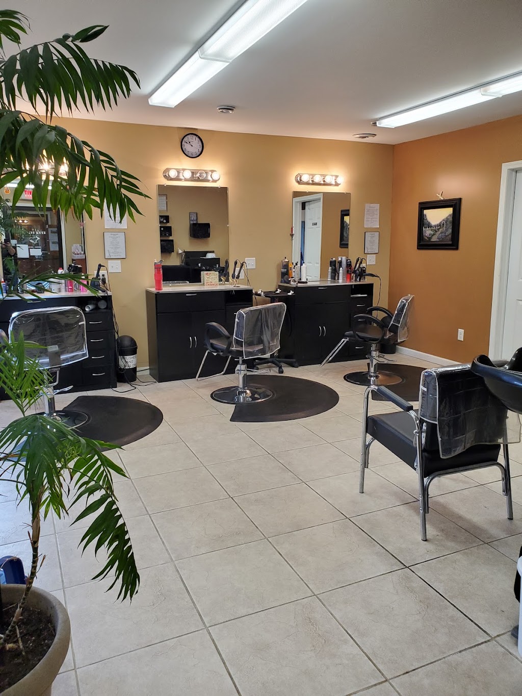 Trendy kutz | 8930 Erie Rd, Angola, NY 14006, USA | Phone: (716) 549-5335