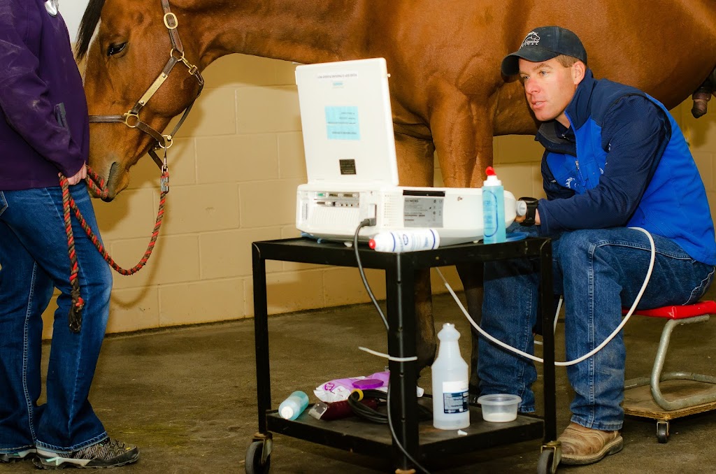 Idaho Equine Hospital | 16080 Equine Dr, Nampa, ID 83687, USA | Phone: (208) 466-4613