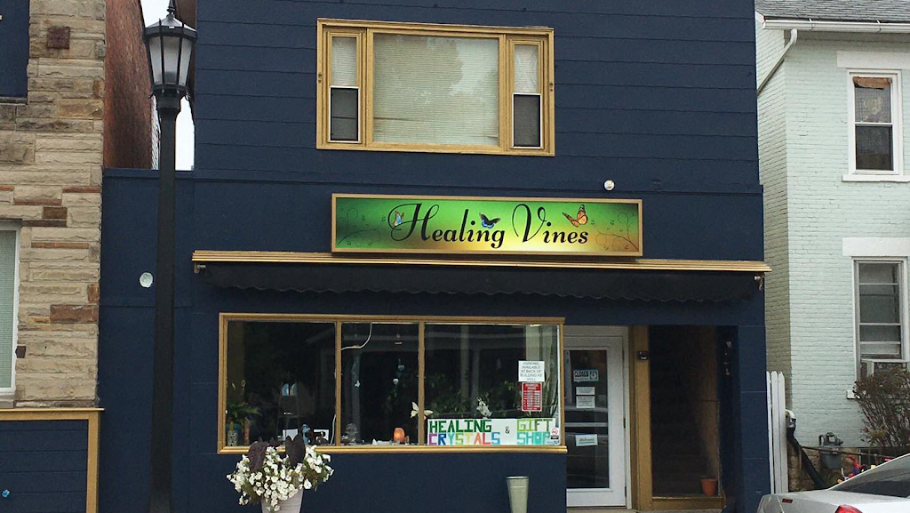 Healing Vines | 213 E Market St, Tiffin, OH 44883, USA | Phone: (567) 268-9021