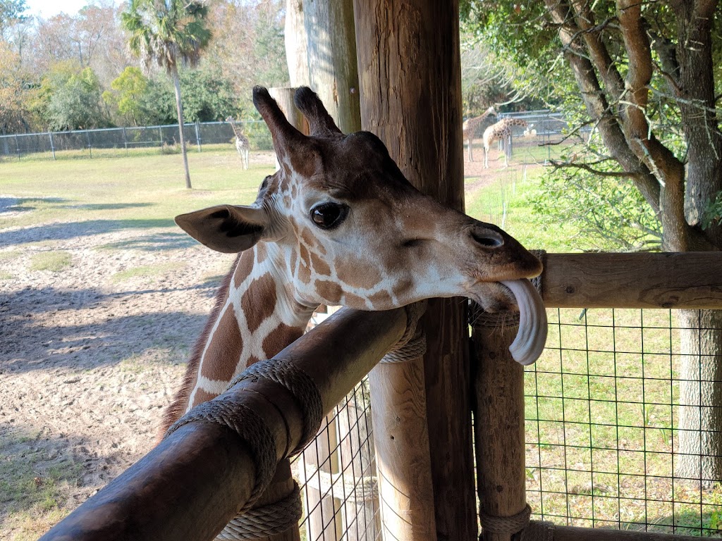 Jacksonville Zoo and Gardens | 370 Zoo Pkwy, Jacksonville, FL 32218, USA | Phone: (904) 757-4463