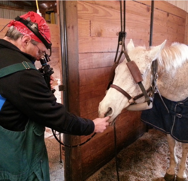Equine Veterinary Dental Services | 1333 Lundys Lane Rd NW, Newark, OH 43055, USA | Phone: (740) 587-3116