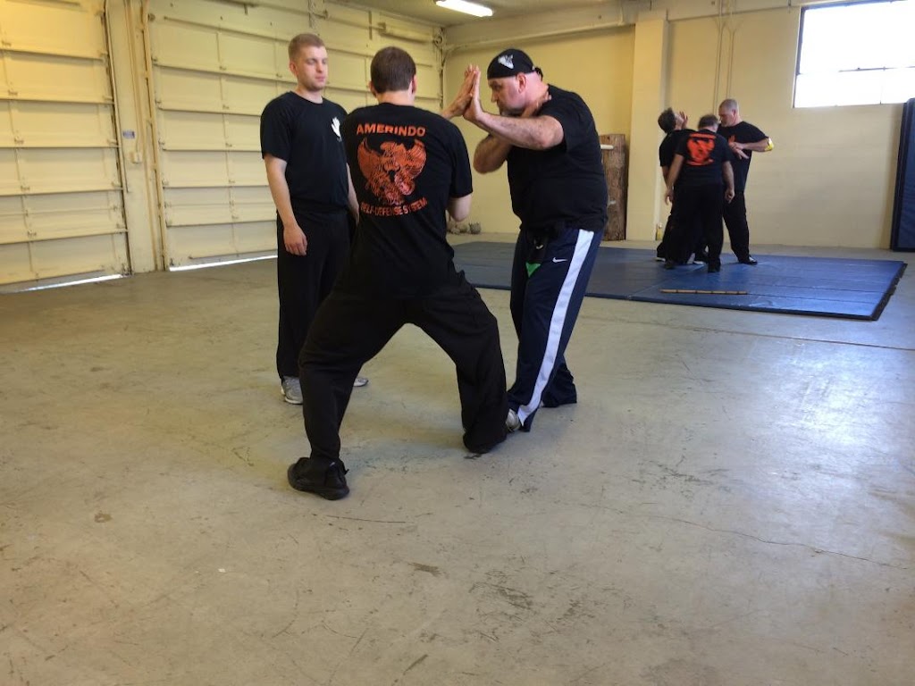 Amerindo Self-Defense Systems | 9702 E B St, Tacoma, WA 98445 | Phone: (253) 841-3770