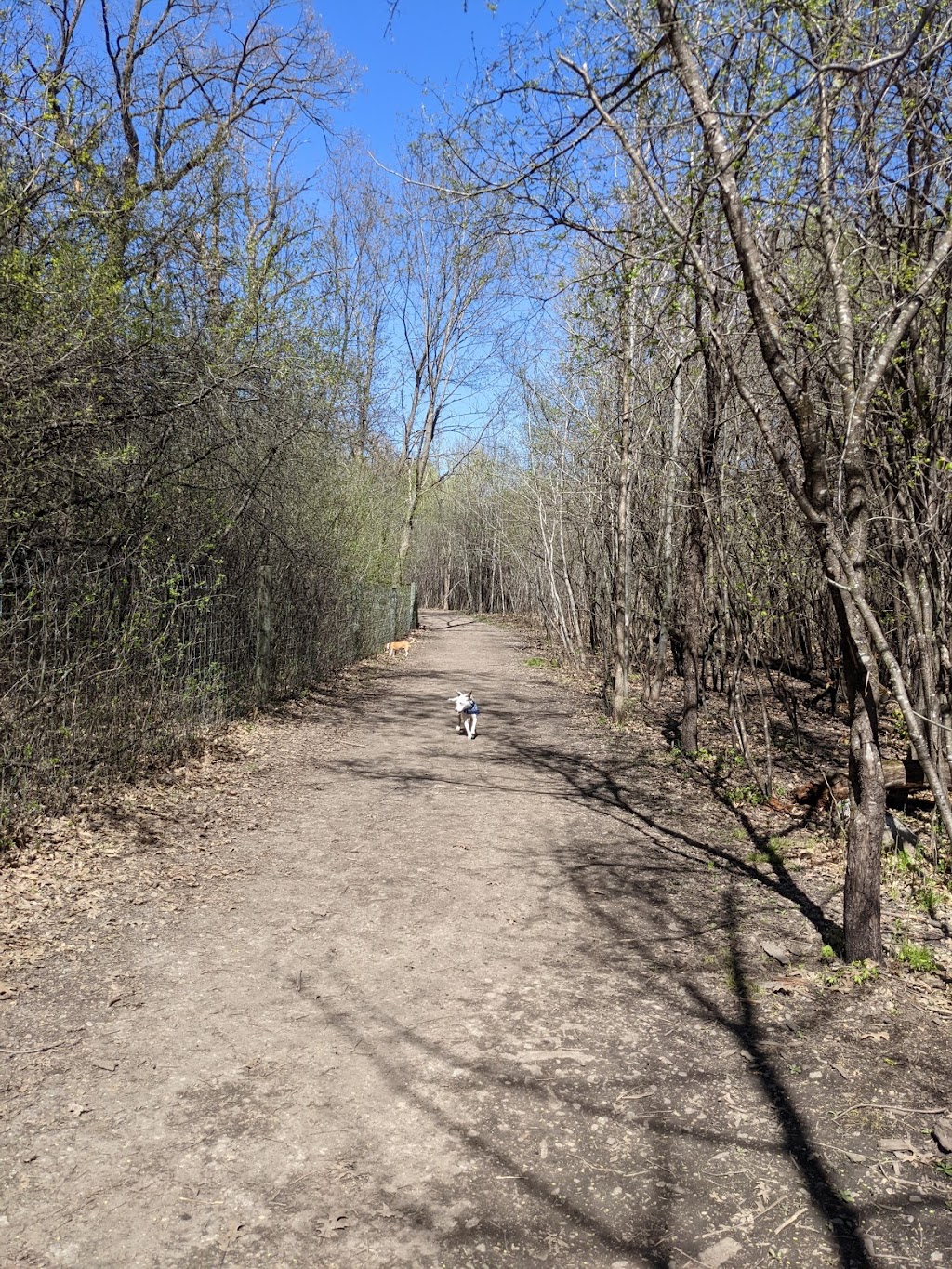 Carver Park Reserve Off-Leash Dog Park | 7200 Park Dr, Victoria, MN 55386, USA | Phone: (763) 694-7650