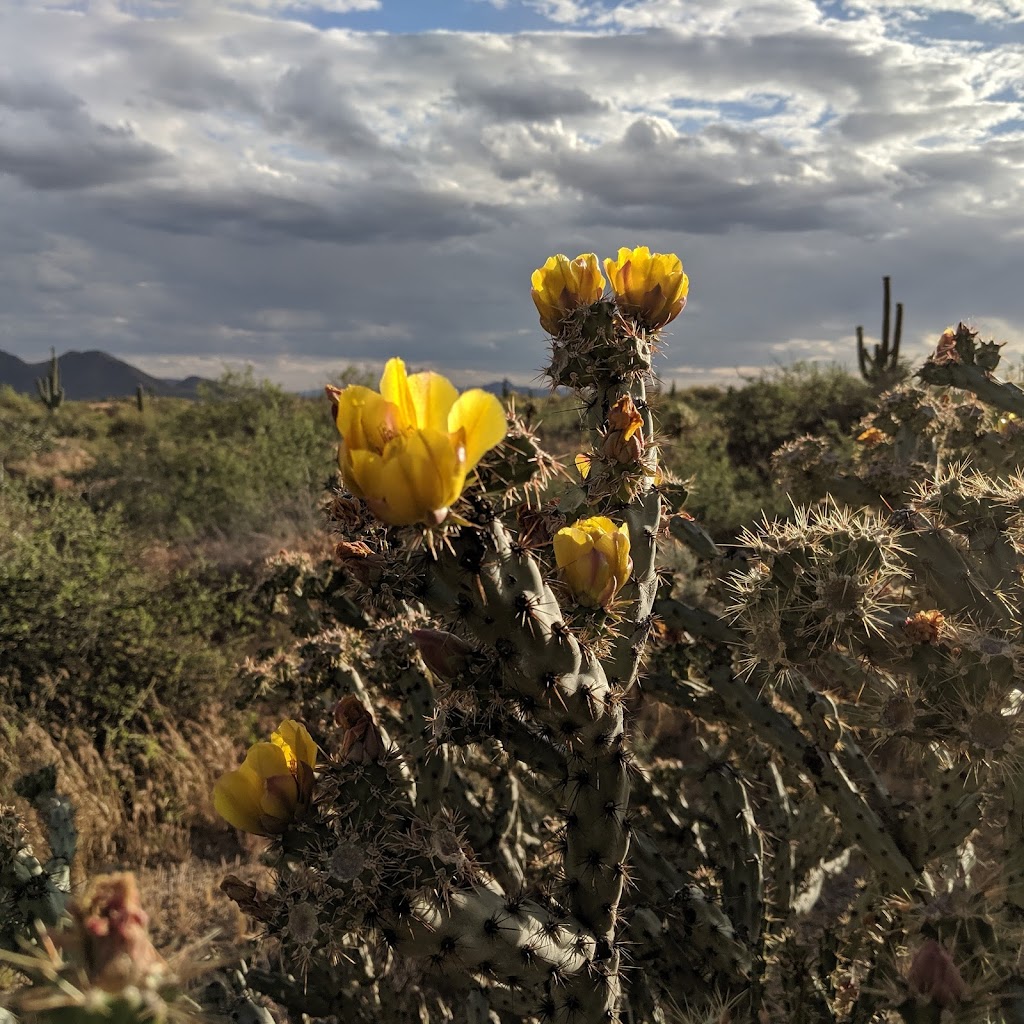 Four Peaks Wilderness Area | 4 Peaks Rd, Fort McDowell, AZ 85264, USA | Phone: (602) 225-5200