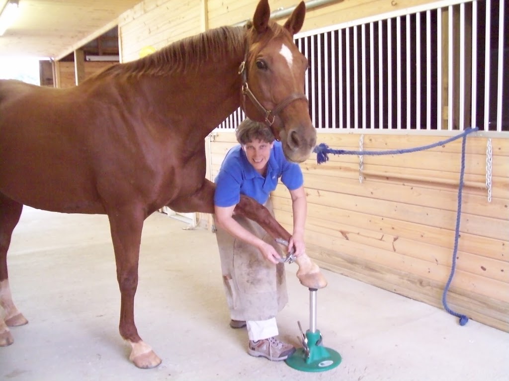 Mid State Equine Hospital: Cindy Kimbrell, DVM | 2504 Staley Store Rd, Liberty, NC 27298, USA | Phone: (336) 622-7447