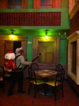 Xtreme pest control | 332 Emerald Acres St, El Paso, TX 79928, USA | Phone: (915) 525-8604