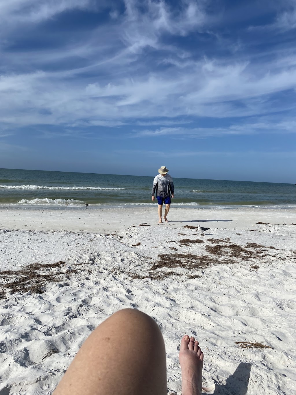 Honeymoon Island State Park Pet Beach | Honeymoon Island, Dunedin, FL 34698 | Phone: (727) 241-6106