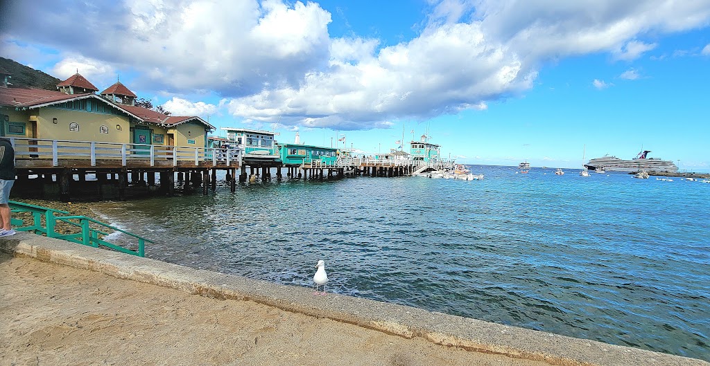 Erics On The Pier | 2 Green Pleasure Pier, Avalon, CA 90704, USA | Phone: (310) 510-0894