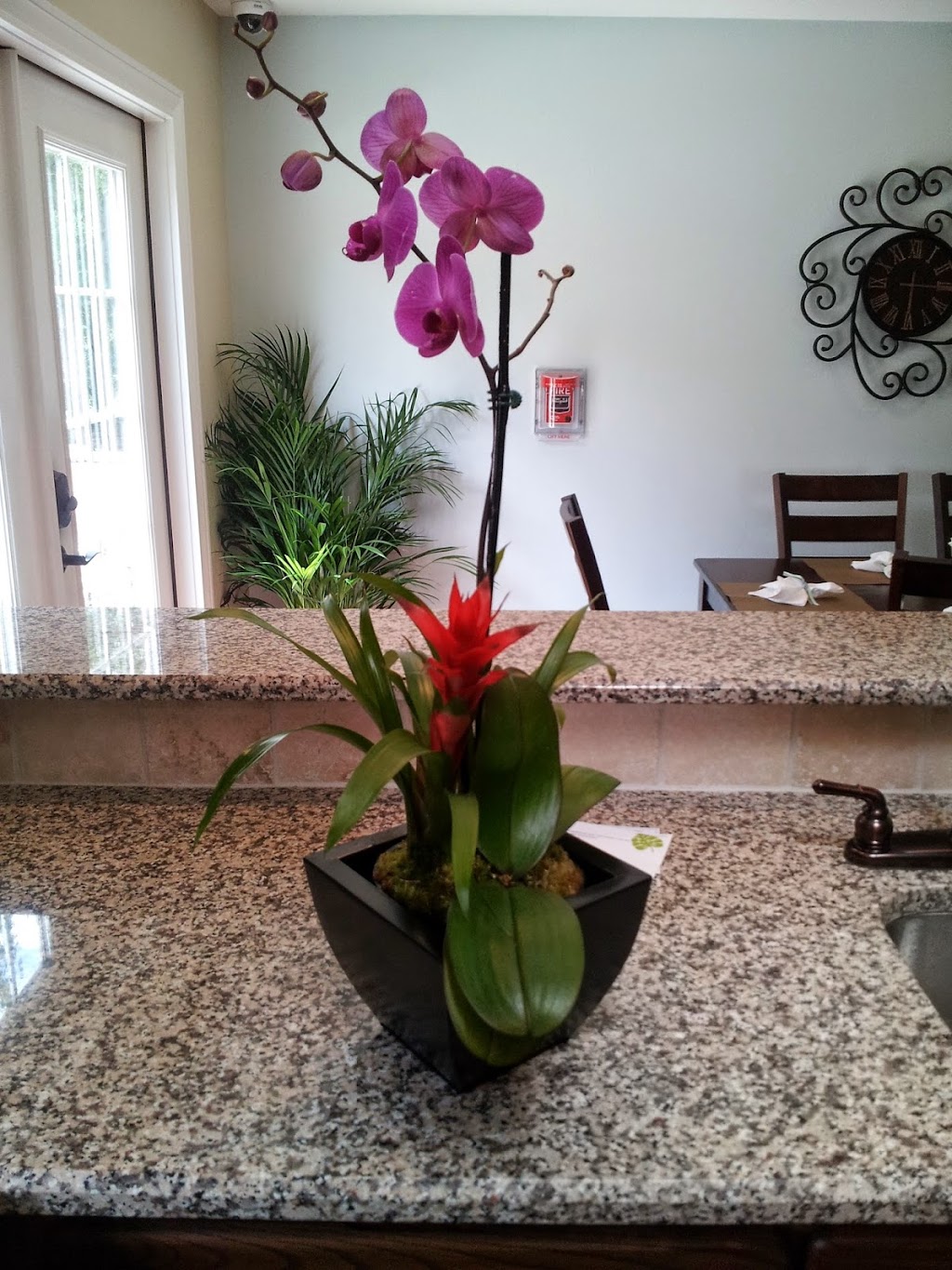 Sedro Trail Assisted Living & Memory Care | 292 Sedro Trail, Georgetown, TX 78633, USA | Phone: (512) 943-4837