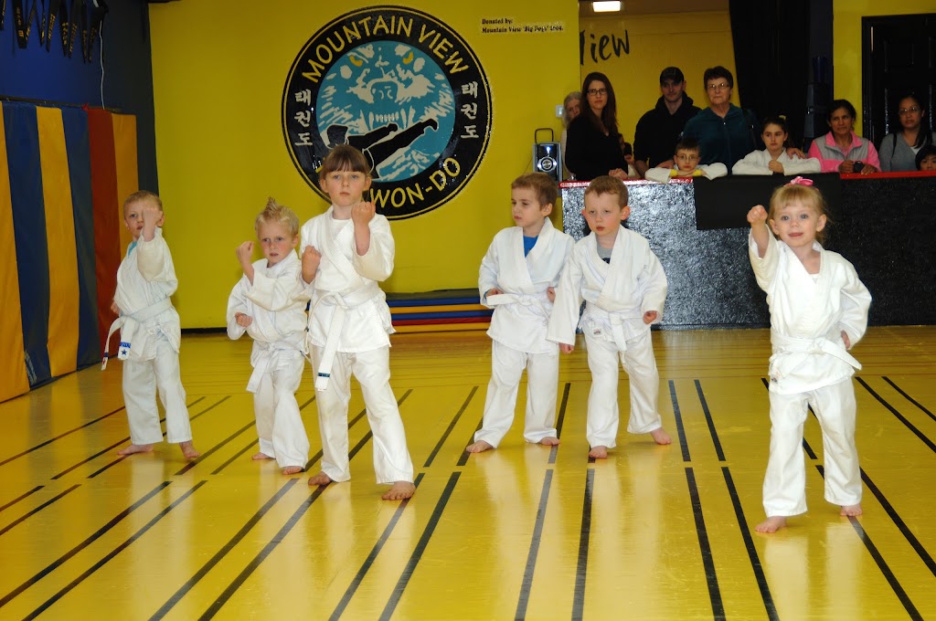 Mountain View Martial Arts and Fitness | 610 SW Eaton Blvd, Battle Ground, WA 98604, USA | Phone: (360) 601-7713