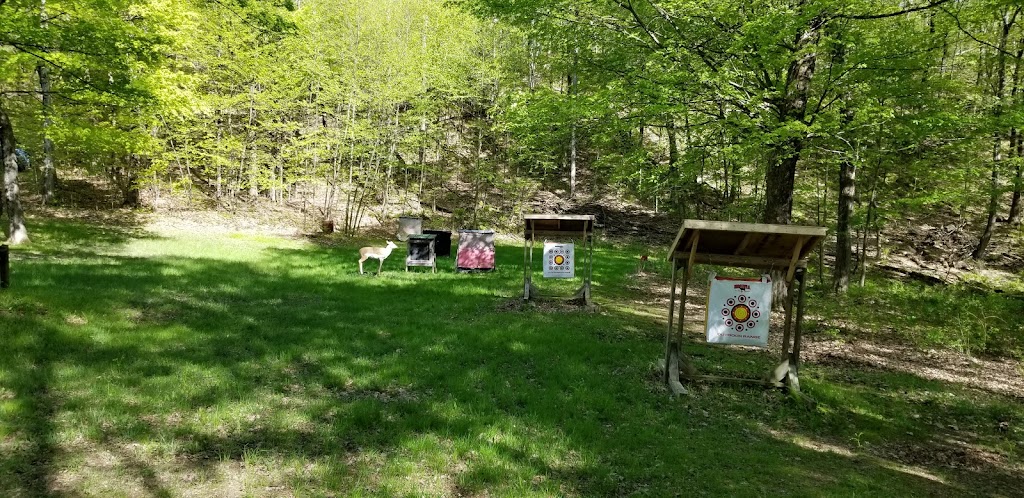 The North Troy Stag Rod & Gun Club | 165 Cushman Rd, Melrose, NY 12121, USA | Phone: (518) 663-5161