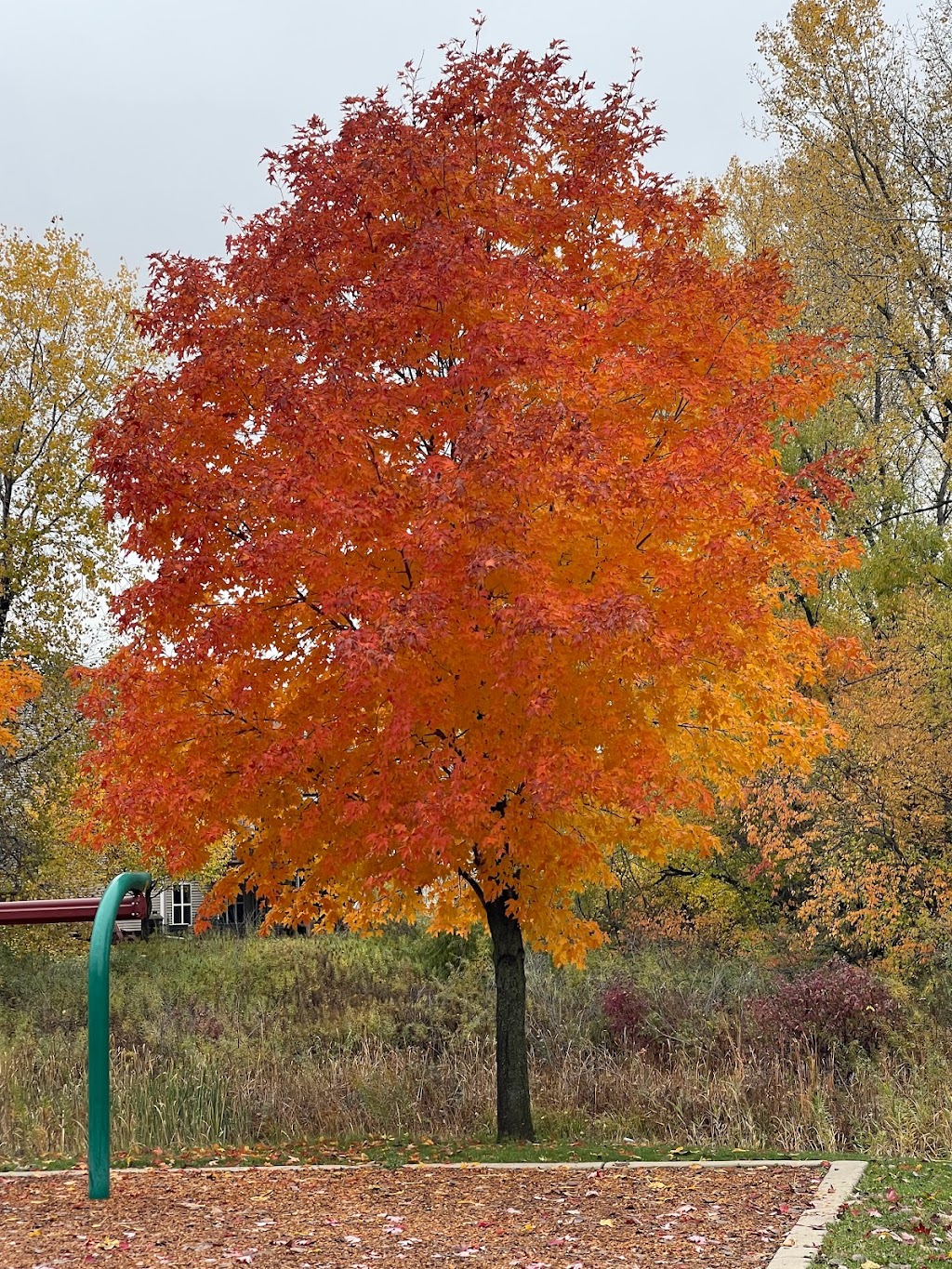 Fairway Meadows Park | 2230 Woodcrest Dr, Woodbury, MN 55129, USA | Phone: (651) 714-3500