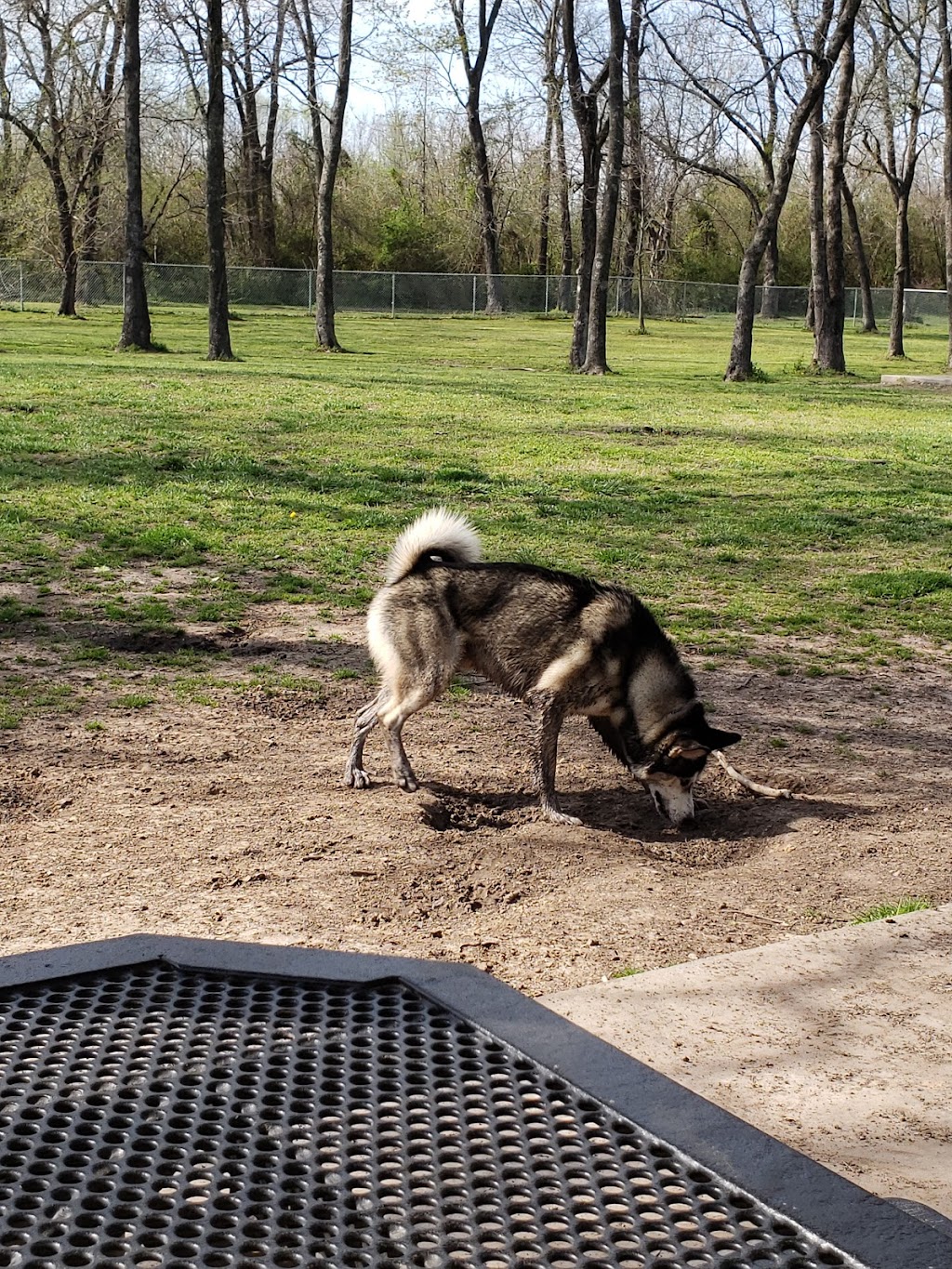 Coody Creek Bark Park | 1121 S 2nd St, Muskogee, OK 74401, USA | Phone: (918) 684-6302