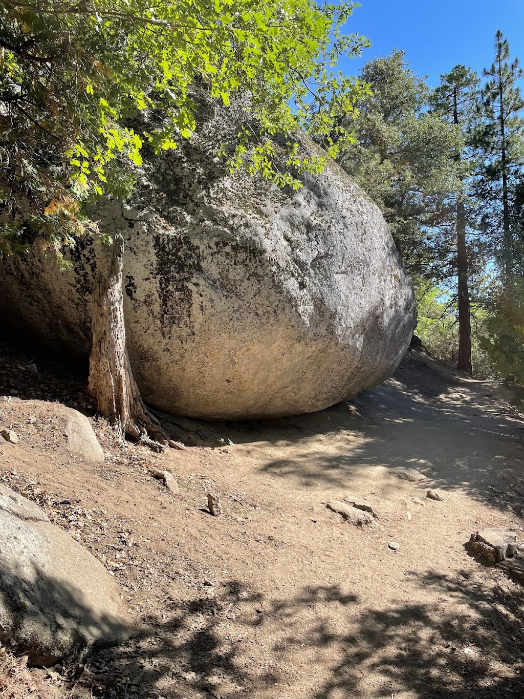 Ernie Maxwell Scenic Trail 3E07 | Fern Valley Rd, Idyllwild-Pine Cove, CA 92549, USA | Phone: (909) 382-2921