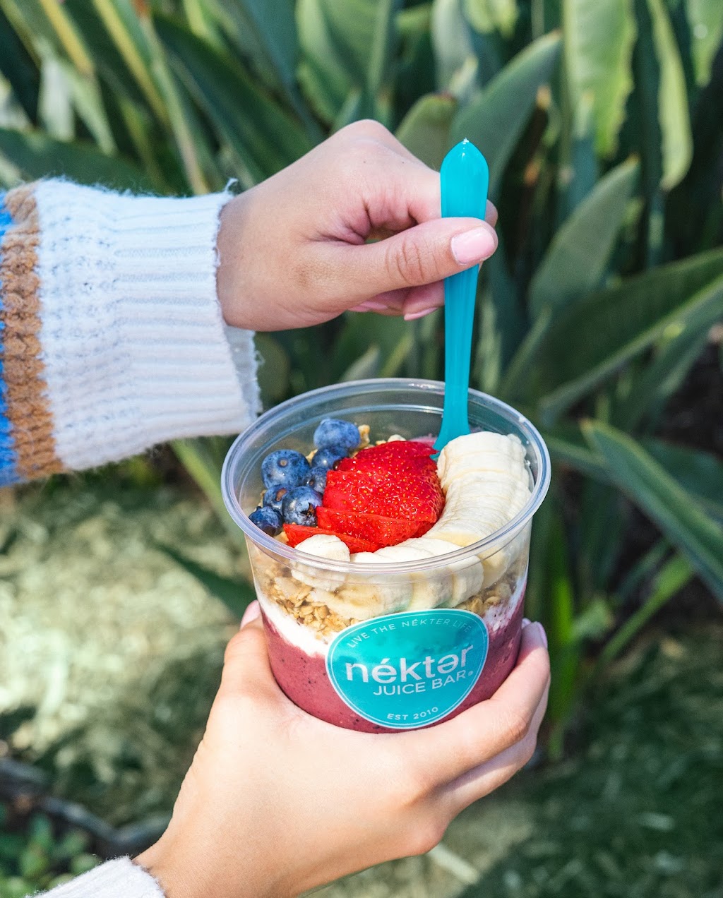 Nekter Juice Bar | 2647 Gateway Rd, Carlsbad, CA 92009, USA | Phone: (760) 331-2955