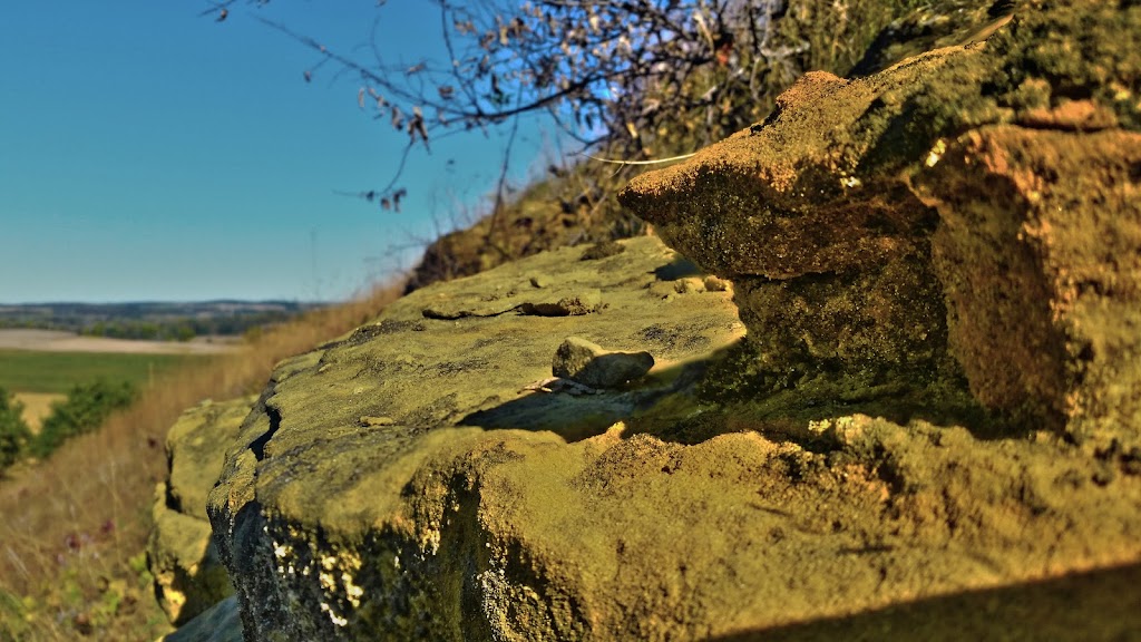 Muralt Bluff Prairie State Natural Area | Monticello, WI 53570, USA | Phone: (608) 266-0394