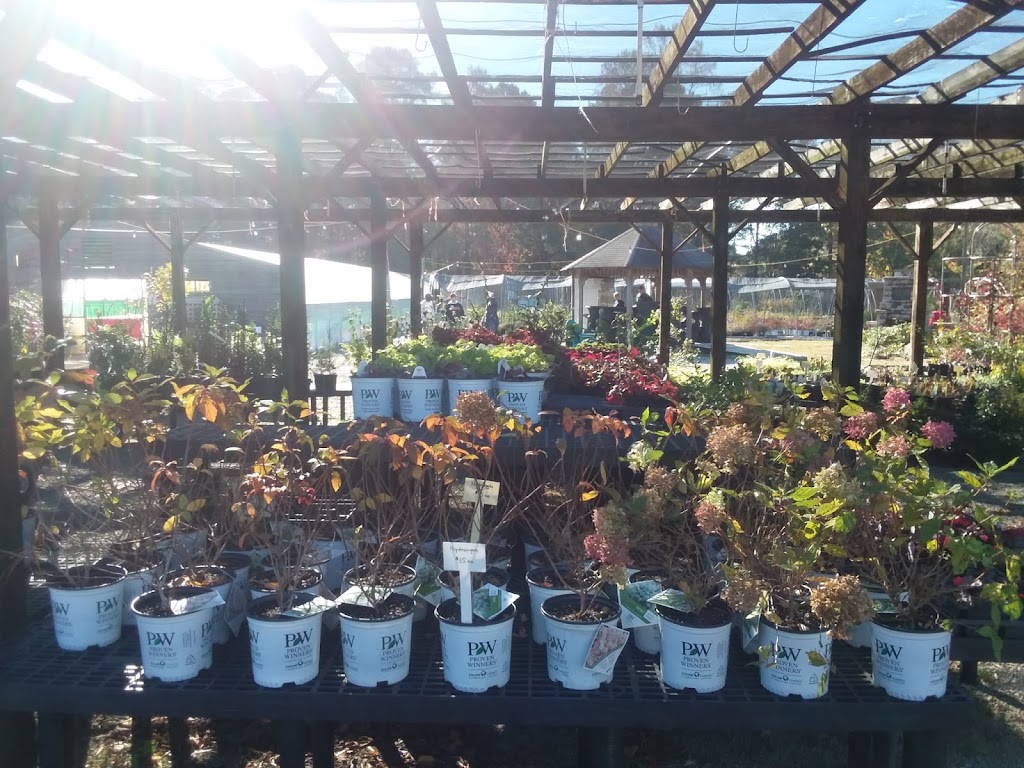 Campbell Road Nursery - Retail | 2804 Campbell Rd, Raleigh, NC 27606, USA | Phone: (919) 854-9892