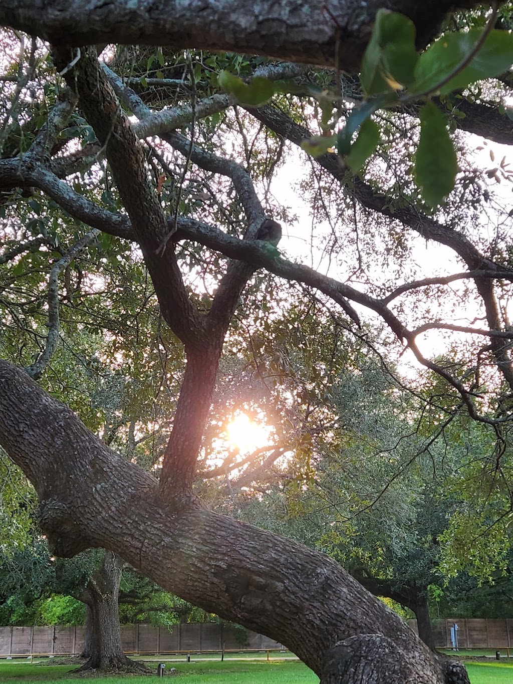 Zemurray Park | 400 S Oak St, Hammond, LA 70403, USA | Phone: (985) 277-5900