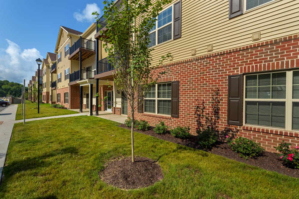 Melvin Feldman, MD | 6201 Greenbelt Rd, Berwyn Heights, MD 20740, USA | Phone: (301) 345-1900