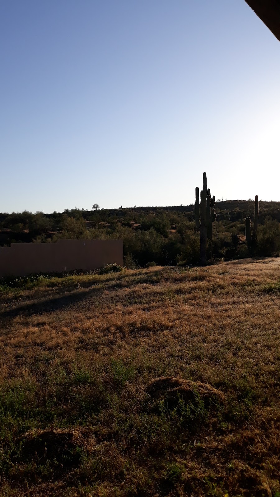 Fort McDowell Yavapai Nation Tribal Library | 16708 N Fort McDowell Rd, Fort McDowell, AZ 85264, USA | Phone: (480) 789-7848