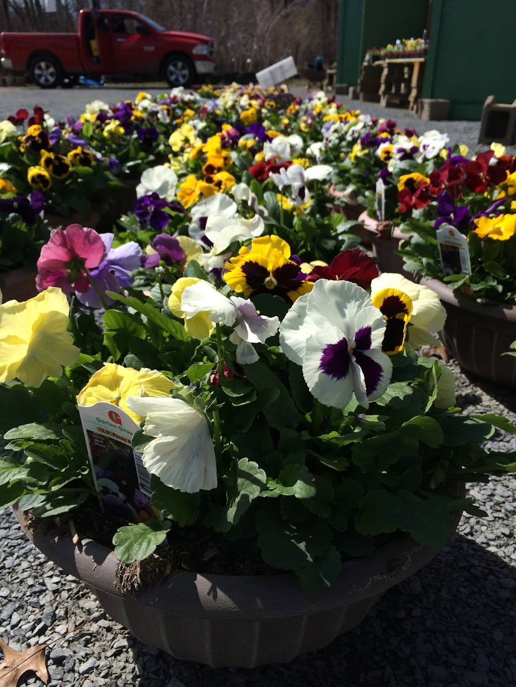 Waynes Nursery & Greenhouse | 9001, 6196 Athens Trail, Stacy, MN 55079 | Phone: (651) 462-1500